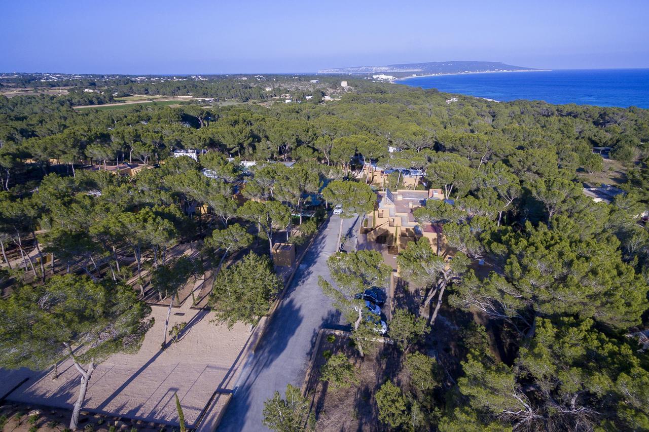 Ses Eufabietes Apartments & Restaurant Playa Migjorn Dış mekan fotoğraf